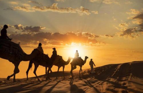 Hassilabied Other | glamping Dunes CAMP