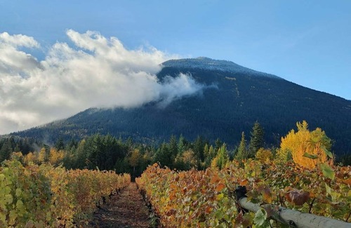 Tappen RV Rental | glamping in nature