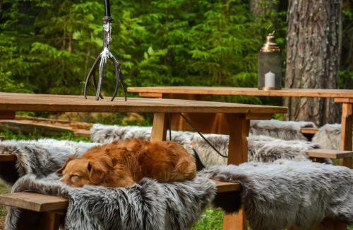 Hassela Other | Glamping med Badtunna