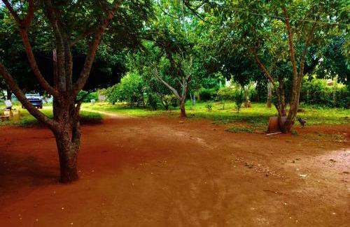 Yelagiri Hotel | Glass House Yelagiri