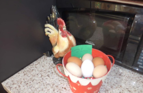 Glenwood House | Glenwood Cottage: Your Own Private Resort