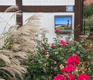 Hollern House | Godetied