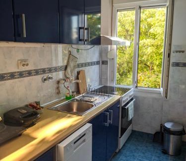 Nis Apartment | Golden lady