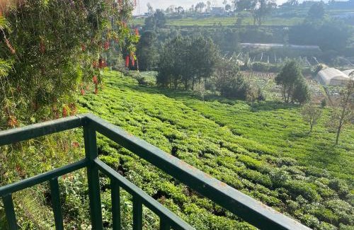 Kotagiri House | Golf Dale Holiday Resort