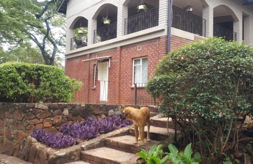 Harare East House | Gondo Hill Cottage Upmarket Borrowdale Tranquile, Mature Garden and Fresh Air.