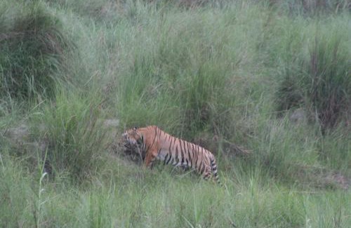 Bardia Bed & Breakfast | Good Karma Homestay