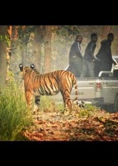 Bardia Bed & Breakfast | Good Karma Homestay