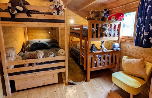 Llanfairpwllgwyngyll Cabin | Gorgeous green log cabin at one with nature on Isle of Anglesey