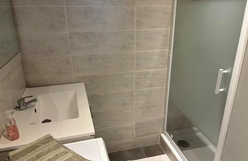 Romans-sur-Isere Apartment | Grand 2 pièces proche quai de l'Isère