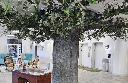 Pigeon Forge Hotel | Grand Smokies Resort Lodge Pigeon Forge