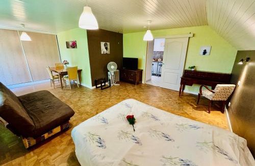 Le Breuil Apartment | Grand Studio au calme