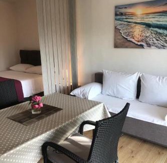 Zdrelac Apartment | Grapevine Studio Apartment