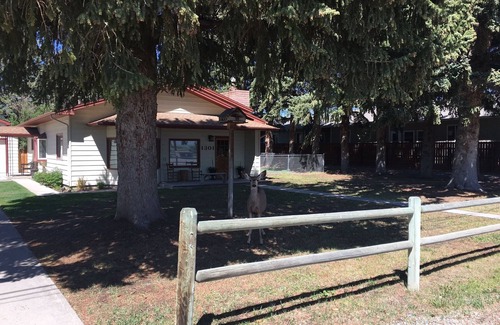 Cody House | Great Back Yard, Minutes To Downtown, Quiet, Cozy, Clean & Pet-friendly!