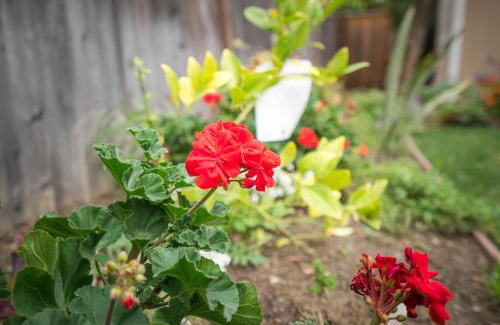 Berryessa House | Great Stay in San Jose