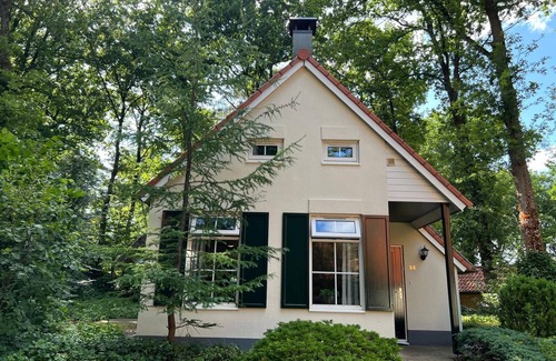 IJhorst Cottage | GREAT TIT - AMONG THE TREES!