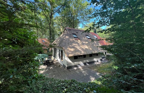 IJhorst Cottage | GREAT TIT - AMONG THE TREES!