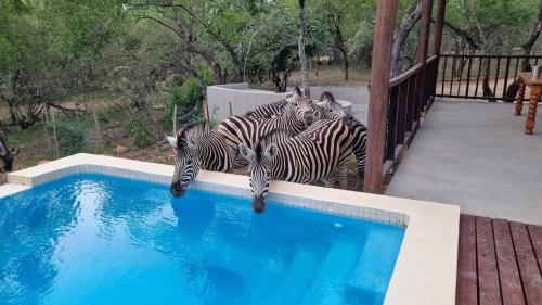 Marloth Park House | Greater Kruger View - Luxury Bush Villa