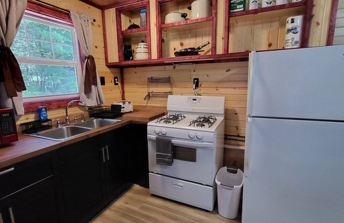 Irons Cabin | Green Cabin in the Woods