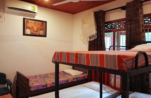 Unawatuna Resort | Green Herbal Ayurvedic Eco-Lodge