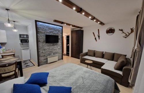Shiligarnika Apartment | Green life, Bansko, private studio c-17