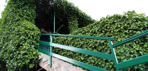 Bol Apartment | Green Oasis