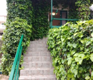Bol Apartment | Green Oasis