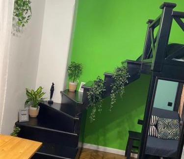 Brasov City Centre Apartment | Green Vibes Central Brasov