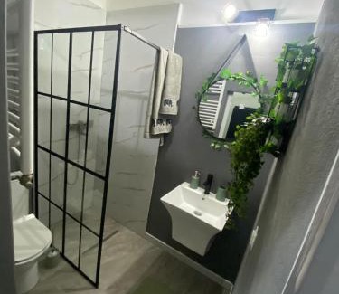 Brasov City Centre Apartment | Green Vibes Central Brasov