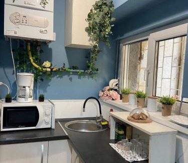 Brasov City Centre Apartment | Green Vibes Central Brasov