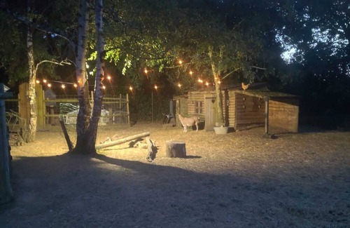 Beurlay Cabin | Grisette's home, its Norwegian bath, its brazier and its animals