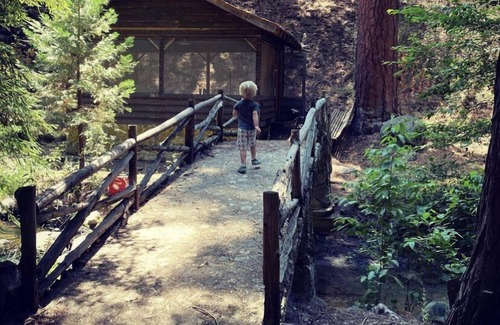 Posey Cabin | Guest Cabin at Three Falls Ranch