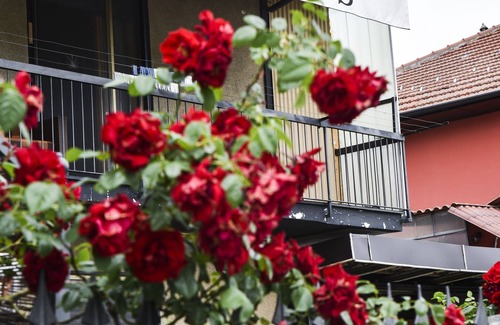 Chivasso House | Guest Home, fully furnished mini apartment, sleeps 6 plus one.