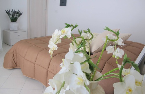 Olbia House | Guest House Suite Olbia