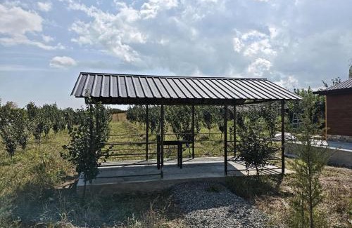 Zegaani House | Guesthouse Quince Garden