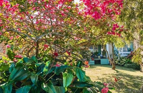 Les Avirons Bed & Breakfast | Guestrooms in Les Avirons - Authentic Creole Stay