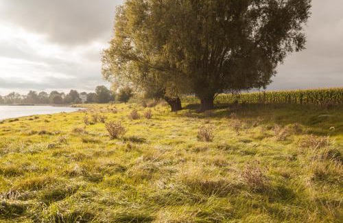 Poseritz Apartment | Gutshaus Üselitz