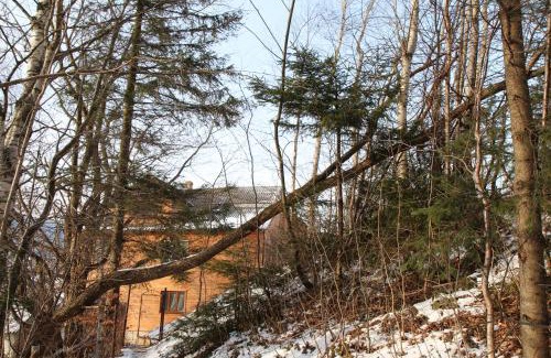 Yaremche House | Gutsulochka Apartment