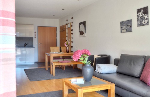 Damuels Apartment | Hölderle Damüls - mountain view #02