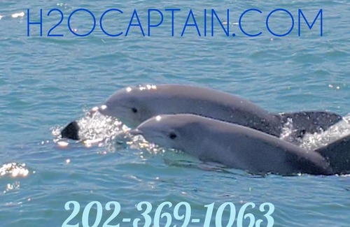 Atlantic Beach Boat Rental | H2O Captain Eco-Tour Private Boat Excursions