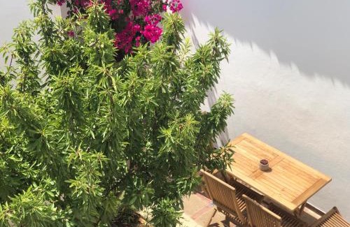 Ciudadela House | Habitación con baño y jardín privado en Casa Típica Ciutadella centro