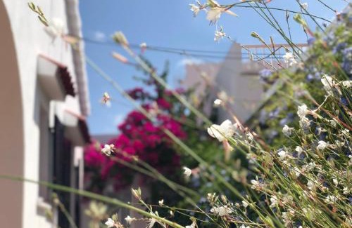 Ciudadela House | Habitación con baño y jardín privado en Casa Típica Ciutadella centro