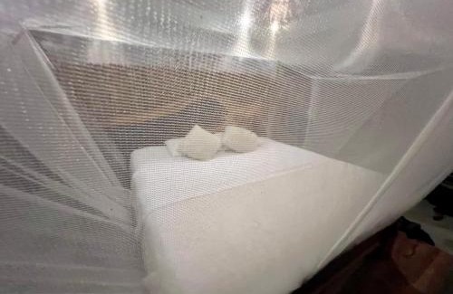 Arroyo Cruz House | Habitaciones en casa De los árboles en la playa con alberca