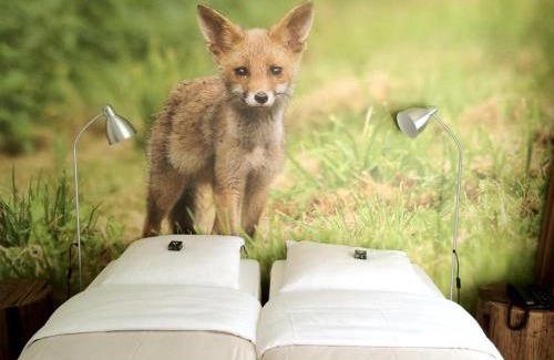 Lelystad Hotel | Hajé Restaurant de Aalscholver