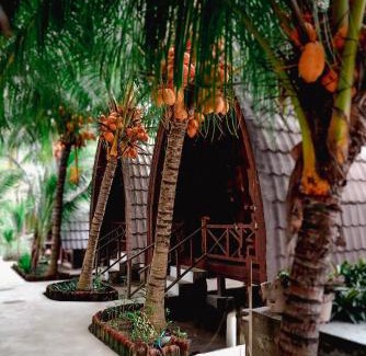 Gili Air Hotel | Hakuna Matata Resort Gili Air