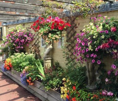 Halstead Hotel | Halstead Rooms