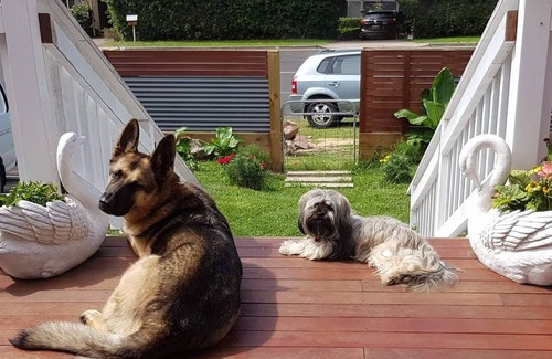 Pambula Beach House | *Hamptons on PB* 100% Petfriendly Family Beach House Pambula Beach, NSW ⛱️
