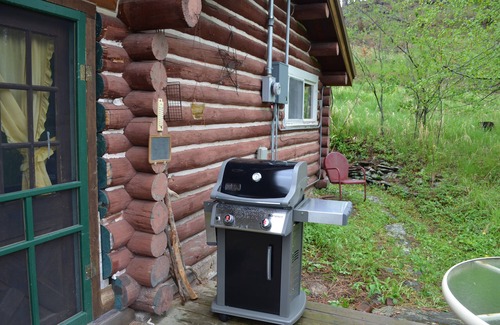 Silver City Cabin | Happy Trails Log Cabin in Silver City