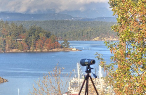 Friday Harbor Condo | Harbor View Condo in Downtown! (Marina Lookout)