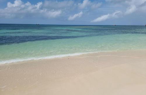 Codrington House | Harrys Cottages Cottage 5 right on the pink sand