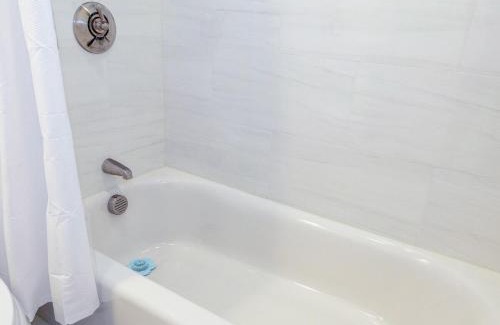 Cambridgeport Apartment | Harvard MIT Boston Home